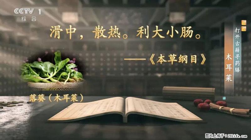 比牛奶补钙还厉害!凉血解毒、稳血糖...这菜冬天必吃,很多人却当草 - 梧州生活资讯 - 梧州28生活网 wuzhou.28life.com