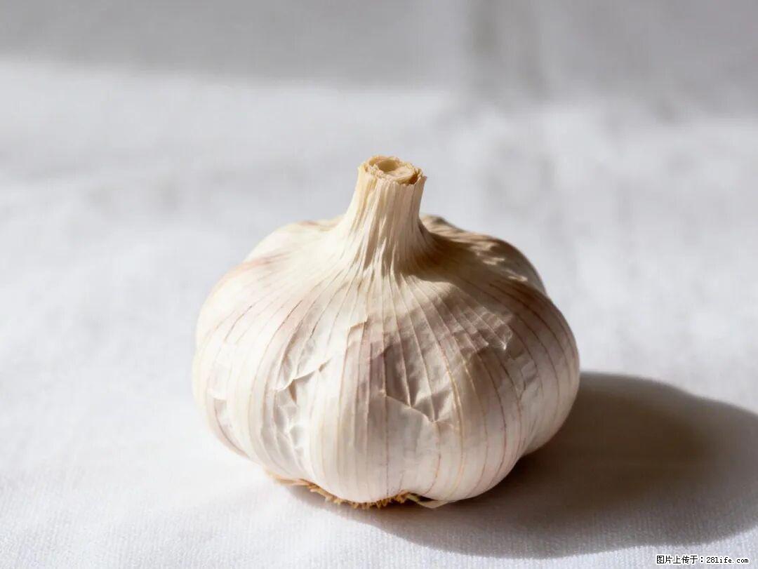 关于大蒜，除了“天然抗生素”，这4个谣言更该警惕! - 梧州生活资讯 - 梧州28生活网 wuzhou.28life.com