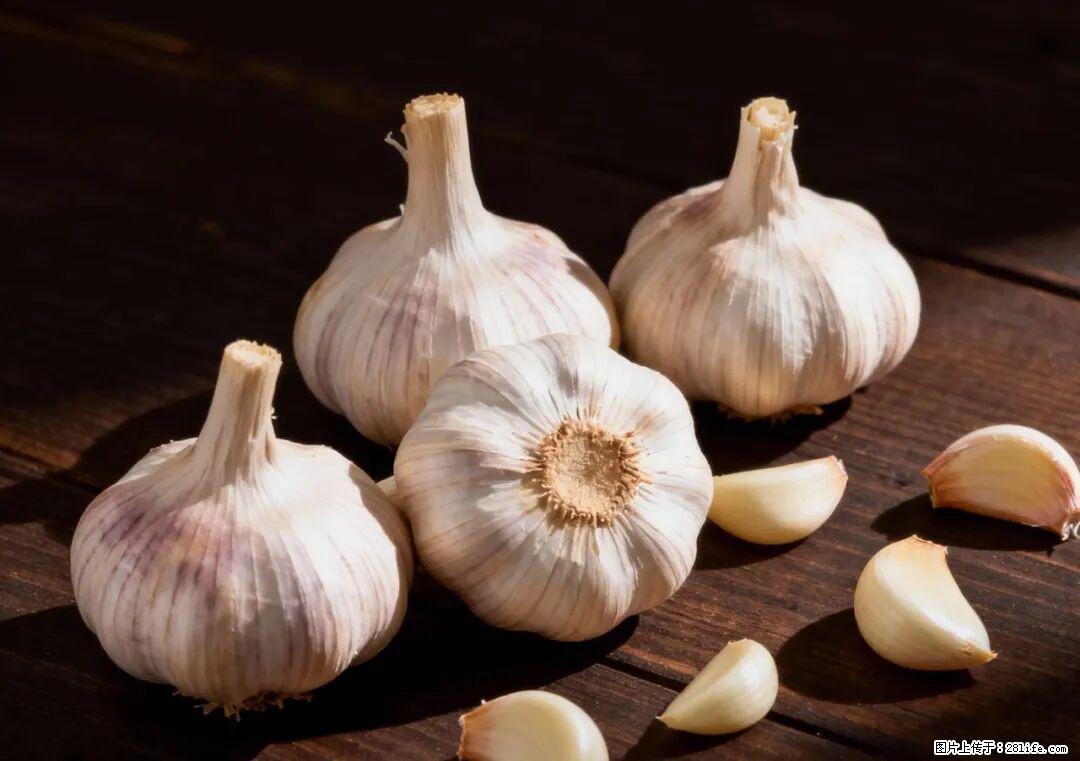 关于大蒜，除了“天然抗生素”，这4个谣言更该警惕! - 梧州生活资讯 - 梧州28生活网 wuzhou.28life.com