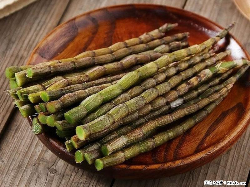 铁皮石斛的作用与功能主治 - 梧州生活资讯 - 梧州28生活网 wuzhou.28life.com