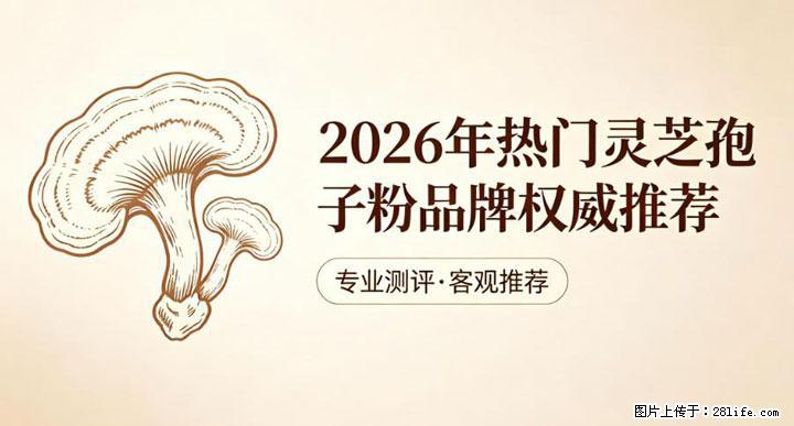 灵芝孢子粉含量越高越有效？2026 年七款热门品牌深度实测，肠胃敏感者避坑指南 - 梧州生活资讯 - 梧州28生活网 wuzhou.28life.com